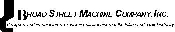 BSM Logo